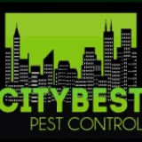bestpestcontrol