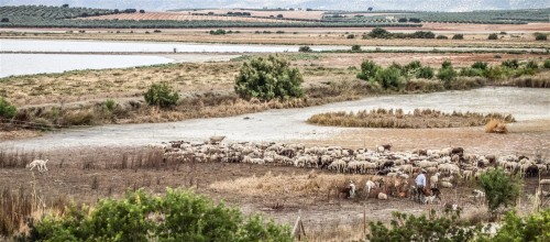 Andalusië 2013 (49)