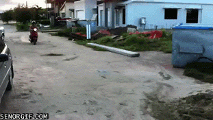 05d74f.gif