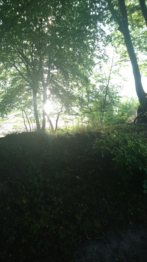 0729e0.jpg