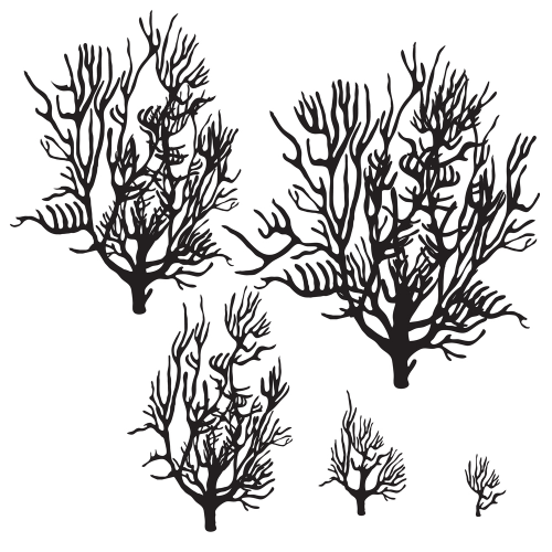 0927b6.png