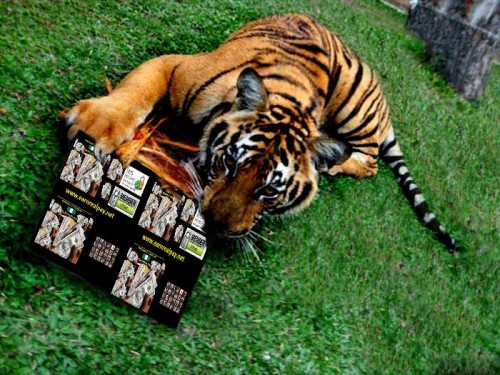 21024 X 500 MAKE MONEY ONLINE FROM NIGERIA