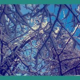 0c037c