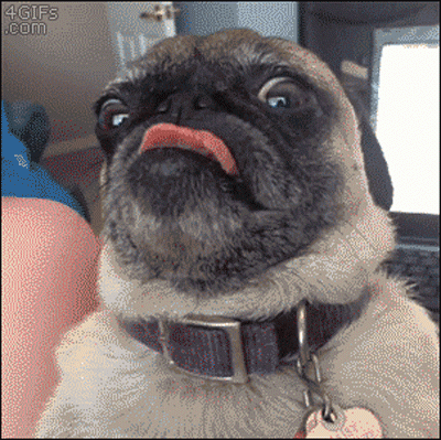 0d73c1.gif