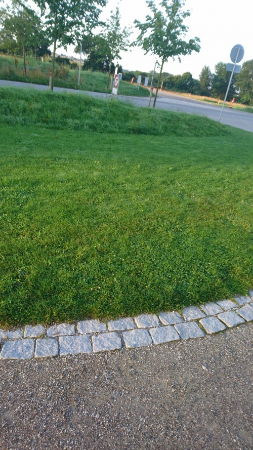 0f19f7.jpg