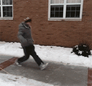 106846.gif