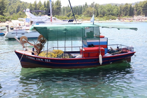 Παλιούρι 2 1024px