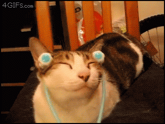 12122f.gif