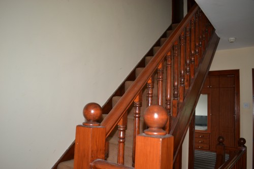 17d736.jpg