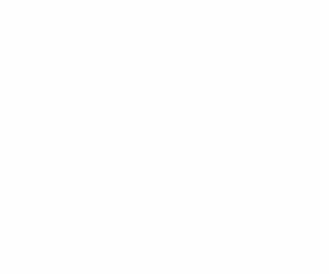 19ecfb.gif
