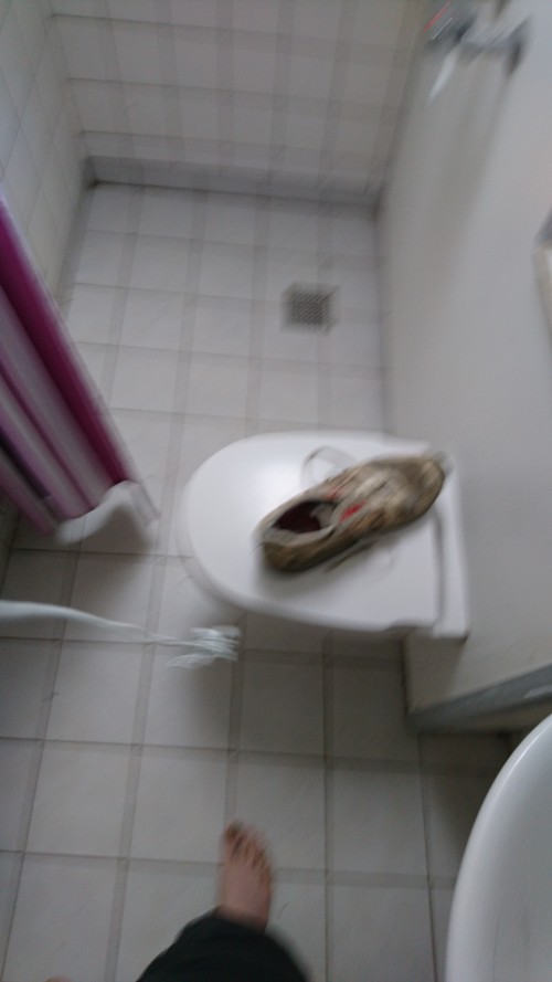 1cee2c.jpg