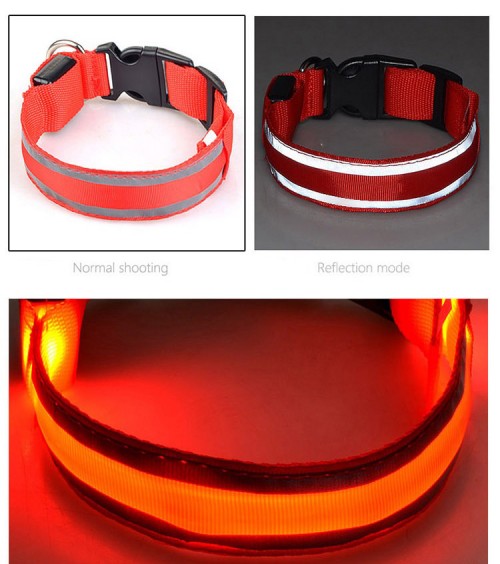 1e9a0f.jpg