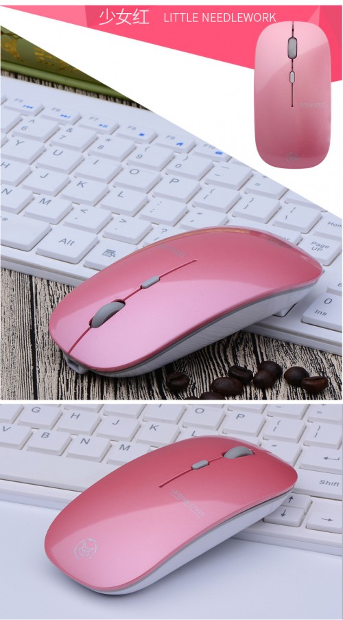 TB2zLUBXE C11Bjy1zeXXXtGpXa !!2512132775