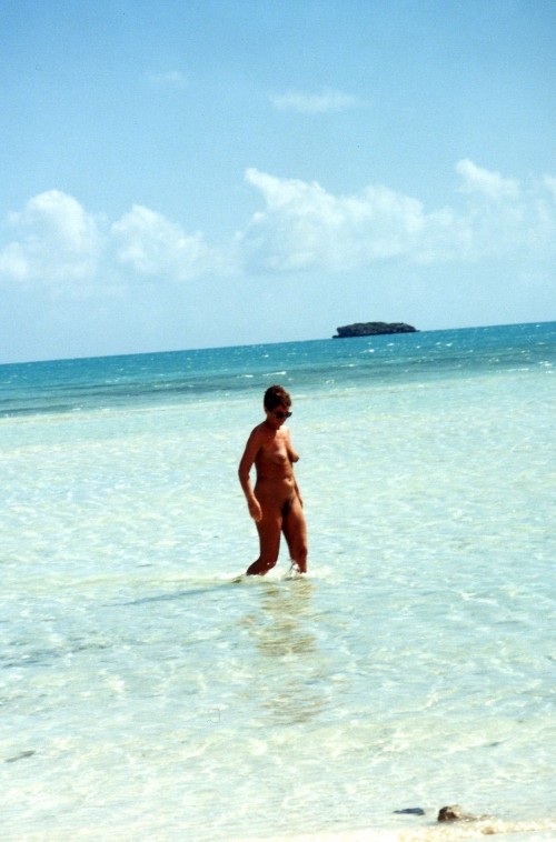 23323d.jpg