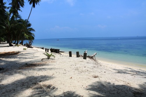 23c095.jpg