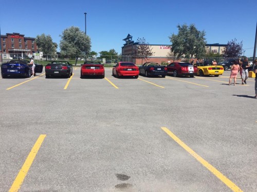 2fc49b.jpg