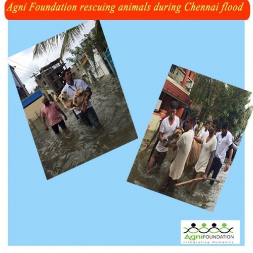 HUMANITY IS NOT ONLY RESTRICTED FOR HUMANS ALONE.0