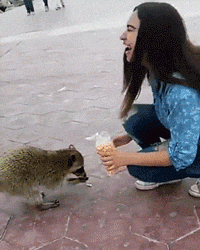 3768a6.gif