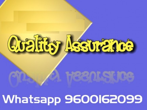 380311.jpg