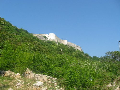 387036.jpg