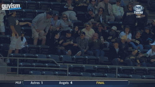 421791.gif
