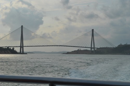 45579d.jpg