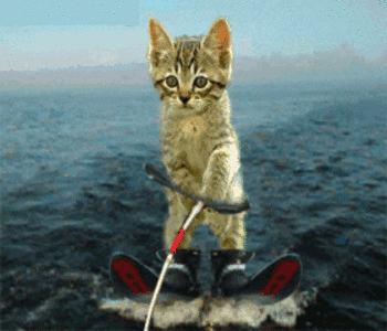 4ecce0.gif