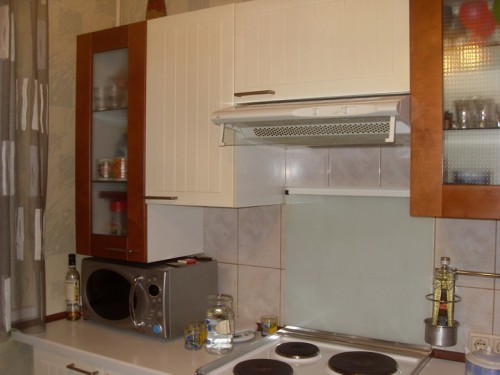 VLUU L110, M110  / Samsung L110, M110