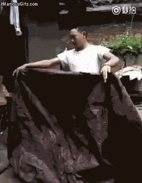 5aeba5.gif