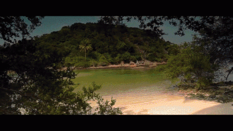 6361c4.gif