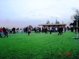 69cb05.jpg