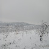 755aba