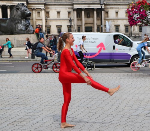 44547478854 2b0d62c121 k