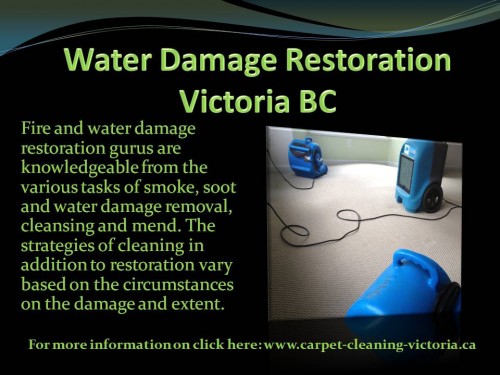 Water Damage Restoration Victoria BC