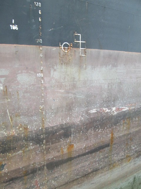 8caf54.jpg