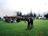 8e145a.jpg