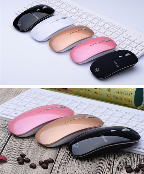 TB2k772b4hmpuFjSZFyXXcLdFXa !!2512132775 副本