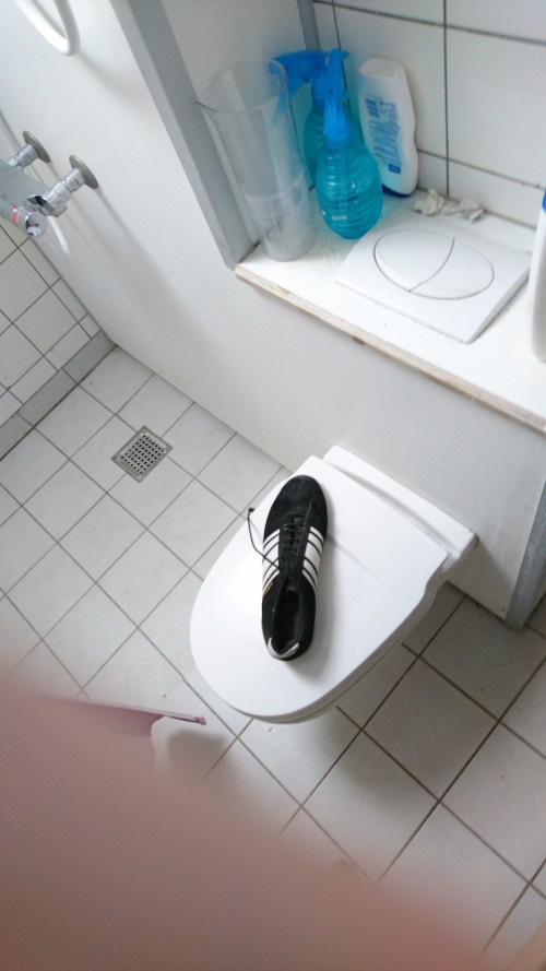 9d60cf.jpg