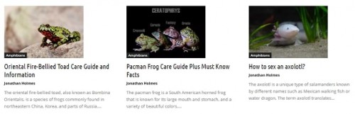 There are different targets revolved around giving family The Beta Pet scissors graphs, and this post is just one of those diverse that can give you 
solid information to help you in your essential finding the most impeccably heavenly pet canine scissors open. 

#TheBetaPet 

Web: http://thebetapet.com/