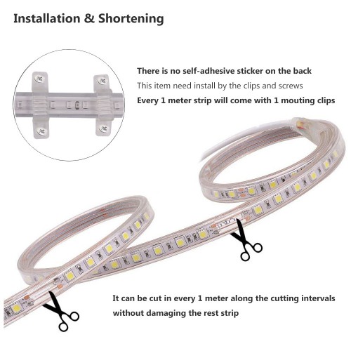 sur dive108@coral.cay