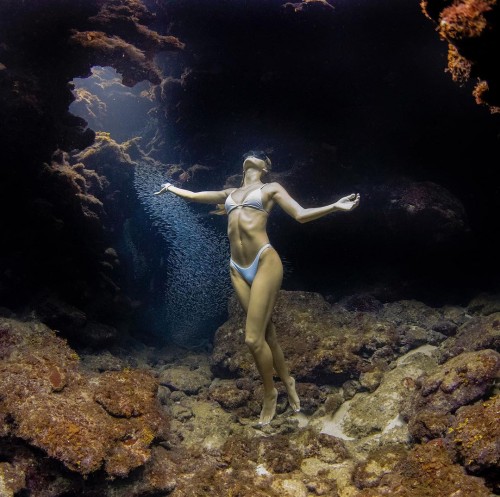 81890819 487712862178101 6719863950494893229 n