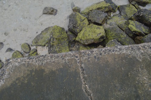 legins1308 assrt10a