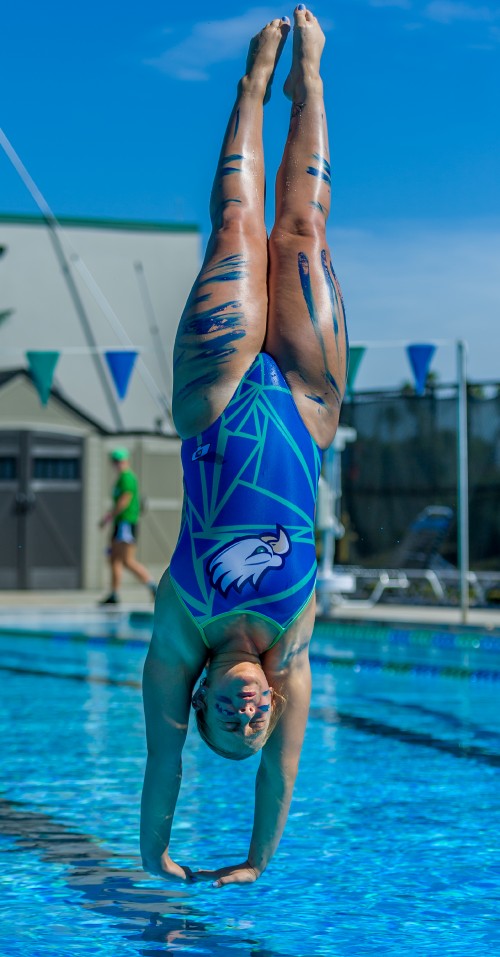 swim253 competition19ff