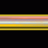 EBWM