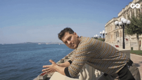 EIED.gif