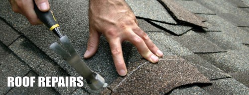 Falcon Roofing
13088 Potts Dr.
San Jose, CA 95111
(408) 225-1705

https://www.falcon-roofing.com