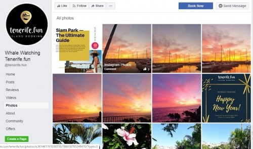 Swimming along with marine mammals like dolphins is a magical knowledge for both the younger and old. It will be definitely not easy or a number of, but with a tiny good fortune it is attainable to go swimming with the dolphins during a vacation to Tenerife.

#whalewatchingtenerife #whaleanddolphinwatchingtenerife #whalewatchingtrip

Web : https://www.facebook.com/tenerife.fun