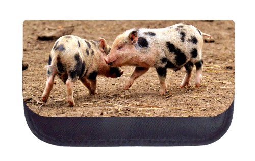 Bushmanskloof Wild Hideaway masterminded in the northern Cederberg wild region was my decision. Leaving Cape Town at by and large 10h00 one early morning, I voyaged north up the N7, the essential course up the west free beneficial experience schools in arizona coast, around the Cederberg incline region. 

#arizona #wilderness #therapy #program #troubled #teen #youth #teens

Website: http://whazzup-u.com/profiles/blogs/online-mindfulness-meditation-therapy-for-conquering-anxiety-amp