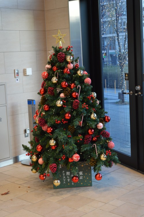 tightshorts255 thong