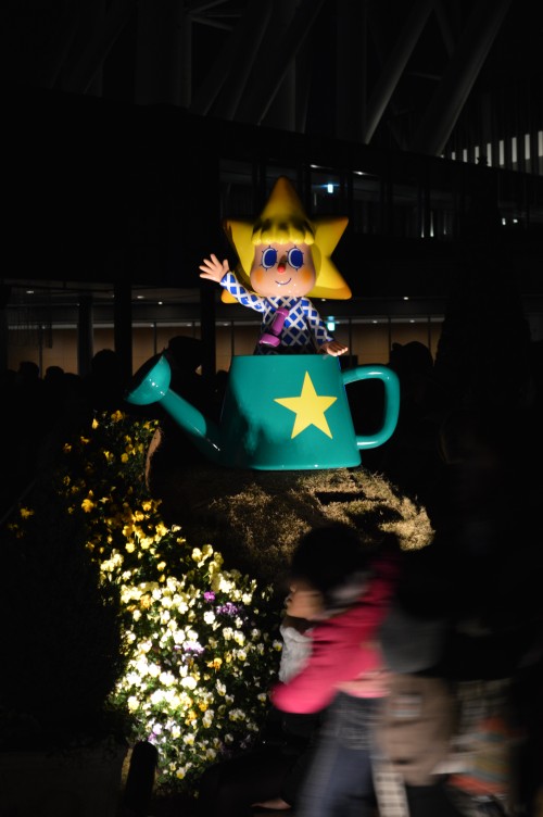 tightshorts249 JIUJITSU1